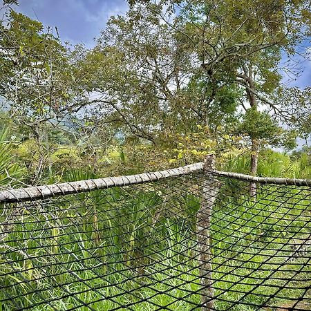 Finca Ecoparaiso Ibague Exterior photo